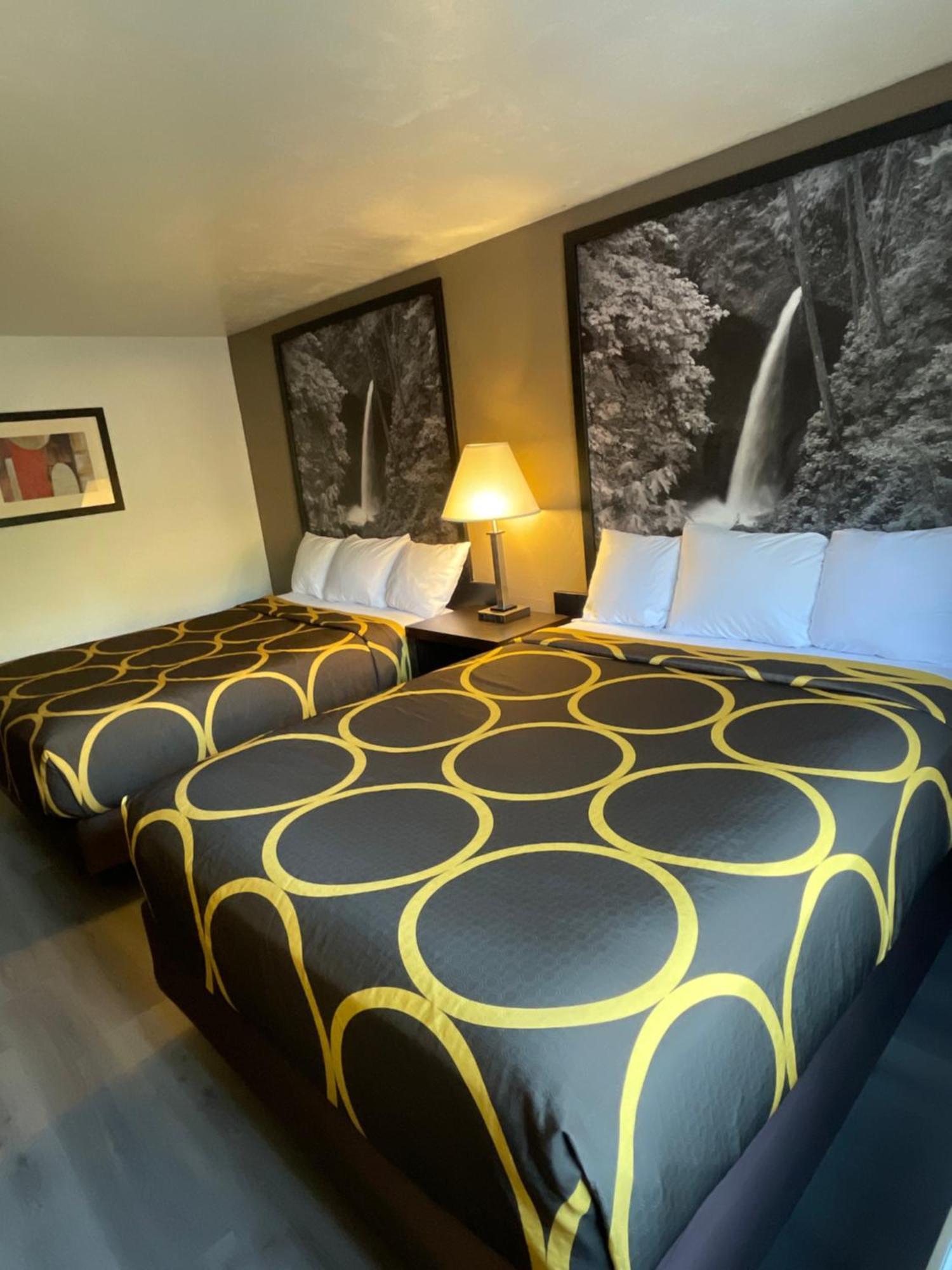 Super 8 By Wyndham Lacey Olympia Area Esterno foto